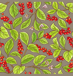 Schisandra Pattern