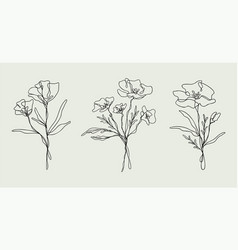 Wildflower Line Art Bundle