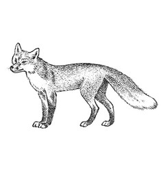 Fox Tattoo Vector Images (over 2,800)