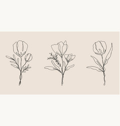 Wildflower Line Art Bundle