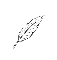 Bird Feather Decorative Element