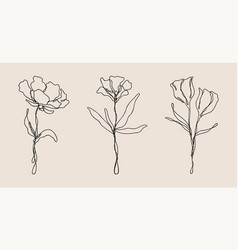 Wildflower Line Art Bundle