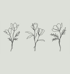 Wildflower Line Art Bundle