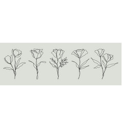 Wildflower Line Art Bundle