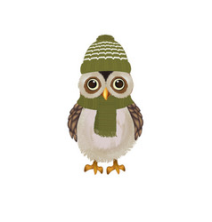 Cute Owl With Green Cap And Scarf