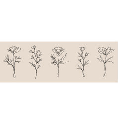 Wildflower Line Art Bundle