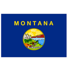 Accurate Correct Montana Mt State Flag