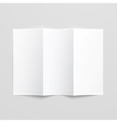 Blank Trifold Paper Brochure