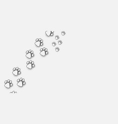 Foot Trail Of Cats Paw Animal Paw