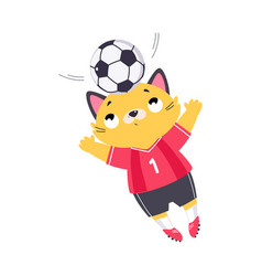 Funny Cat Animal Character Playing Football