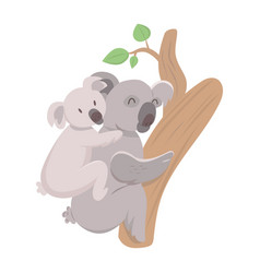 Koala Bear With Baby Climbing A Tree On White