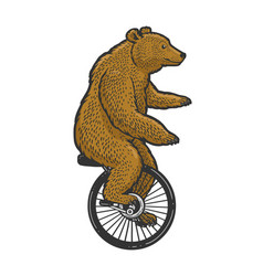 Unicycle Bear Sketch