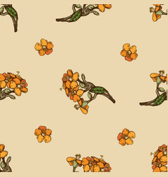 Seamless Pattern With Hand Drawn Colored Milkweed