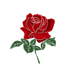 Single red rose Royalty Free Vector Image - VectorStock