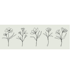 Wildflower Line Art Bundle