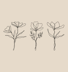 Wildflower Line Art Bundle