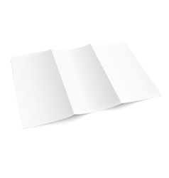 Blank Trifold Paper Brochure