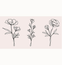 Wildflower Line Art Bundle