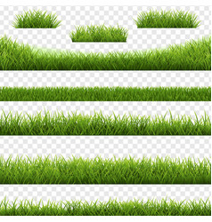 Green Grass Border Transparent Background