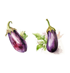 Eggplant Watercolor Painting Style Set