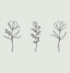 Wildflower Line Art Bundle