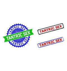 Tantric Sex Rosette And Rectangle Bicolor