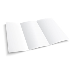 Blank Trifold Paper Brochure