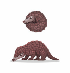 Pangolin Exotic Animal Collection Set Cartoon