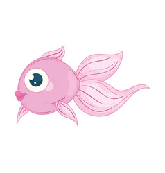 Pink Ballerine Fish Swimming