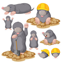 Set Of Mole Cartoon Character With Head