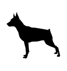 Miniature Pinscher Dog Silhouette