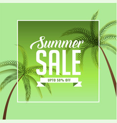 Summer Sale Background With Palm Tree