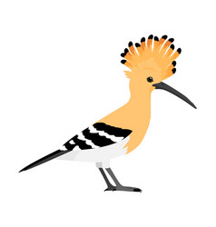 Upupa Epops - Eurasian Hoopoe - Side View - Flat