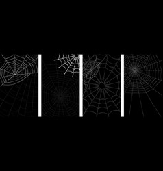 Spiders And Web Background With Space