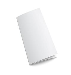 Blank Trifold Paper Brochure