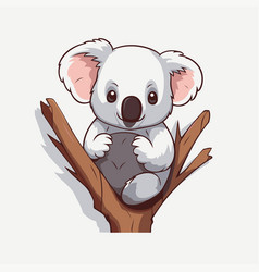 Cute Koala Bear On A Tree Branch