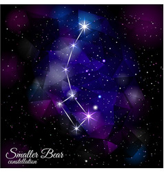 Little Bear Constellation