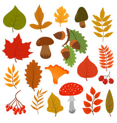 Fall Guys Download Apk