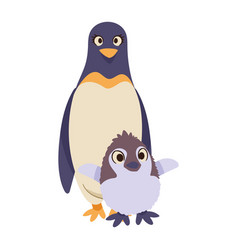 Penguin Mother With Baby