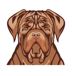 Dogue De Bordeaux Dog Head With Face Image