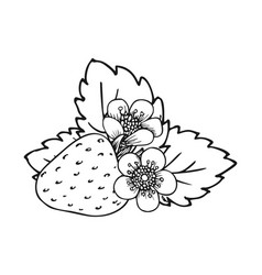 Sweet Strawberry Hand Drawn Sketch Line Art Berry