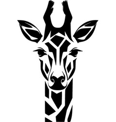 Giraffe - Black And White