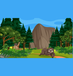 Two Sloths In Forest At Daytime Scene With Many