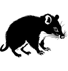 Opossum Silhouette White Background