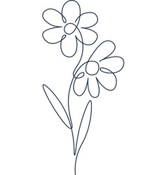 Chamomile Flower Outline