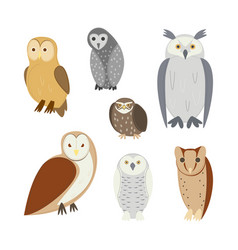 Cartoon Color Different Owl Set