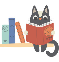 Cat Reading On Book Shelf