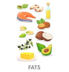 Fats Healthy Macronutrients Chart Cartoon Food