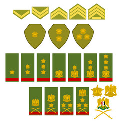 Insignia Syrian Army