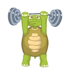 Image result for turtle exercise